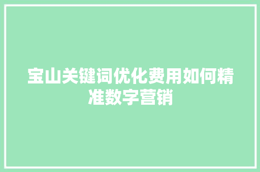 宝山关键词优化费用如何精准数字营销
