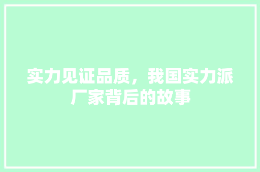 实力见证品质，我国实力派厂家背后的故事