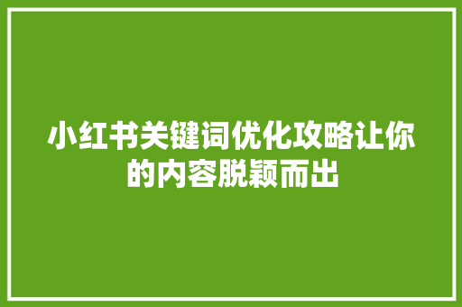 小红书关键词优化攻略让你的内容脱颖而出