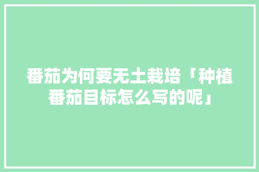 番茄为何要无土栽培「种植番茄目标怎么写的呢」 番茄为何要无土栽培「种植番茄目标怎么写的呢」 植物种类