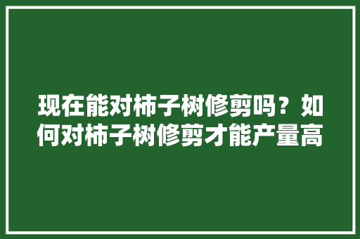 现在能对柿子树修剪吗？如何对柿子树修剪才能产量高「小番茄侧枝怎么种植视频教程」 现在能对柿子树修剪吗？如何对柿子树修剪才能产量高「小番茄侧枝怎么种植视频教程」 番茄种植技巧
