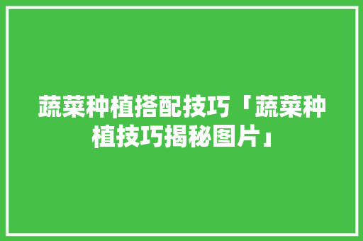 蔬菜种植搭配技巧「蔬菜种植技巧揭秘图片」