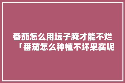 番茄怎么用坛子腌才能不烂「番茄怎么种植不坏果实呢」 番茄怎么用坛子腌才能不烂「番茄怎么种植不坏果实呢」 土壤施肥