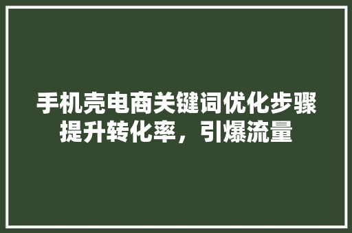 手机壳电商关键词优化步骤提升转化率，引爆流量