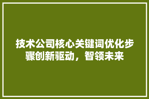 技术公司核心关键词优化步骤创新驱动，智领未来