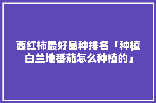 西红柿最好品种排名「种植白兰地番茄怎么种植的」 西红柿最好品种排名「种植白兰地番茄怎么种植的」 种植技巧