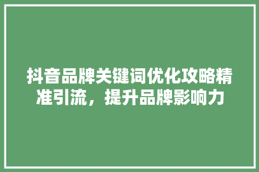 抖音品牌关键词优化攻略精准引流，提升品牌影响力