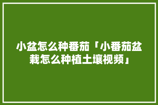 小盆怎么种番茄「小番茄盆栽怎么种植土壤视频」 小盆怎么种番茄「小番茄盆栽怎么种植土壤视频」 番茄病虫害防治