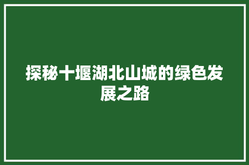 探秘十堰湖北山城的绿色发展之路