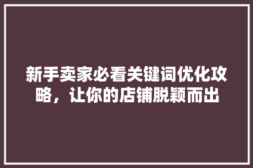 新手卖家必看关键词优化攻略，让你的店铺脱颖而出