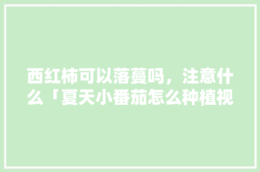 西红柿可以落蔓吗，注意什么「夏天小番茄怎么种植视频教程」 西红柿可以落蔓吗，注意什么「夏天小番茄怎么种植视频教程」 番茄病虫害防治