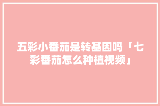 五彩小番茄是转基因吗「七彩番茄怎么种植视频」 五彩小番茄是转基因吗「七彩番茄怎么种植视频」 番茄病虫害防治