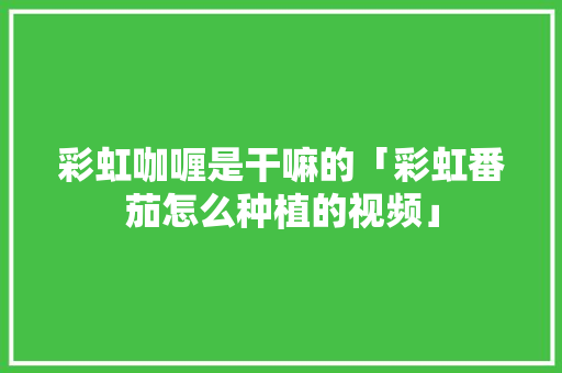彩虹咖喱是干嘛的「彩虹番茄怎么种植的视频」