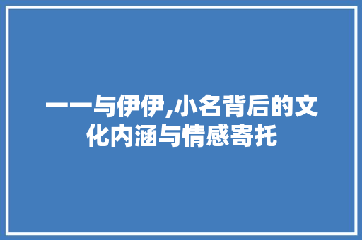 一一与伊伊,小名背后的文化内涵与情感寄托