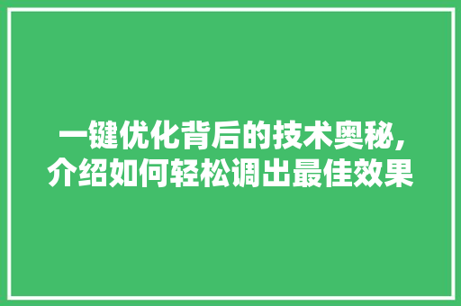 一键优化背后的技术奥秘,介绍如何轻松调出最佳效果