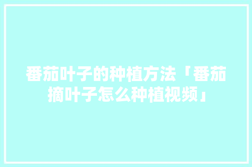番茄叶子的种植方法「番茄摘叶子怎么种植视频」