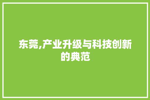 东莞,产业升级与科技创新的典范