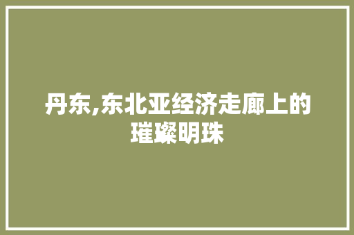 丹东,东北亚经济走廊上的璀璨明珠