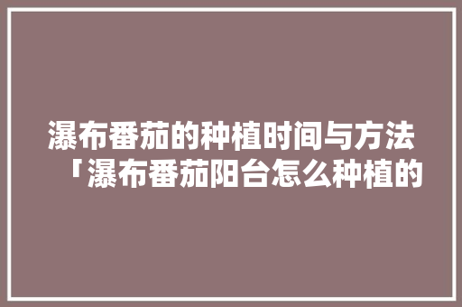 瀑布番茄的种植时间与方法「瀑布番茄阳台怎么种植的」 瀑布番茄的种植时间与方法「瀑布番茄阳台怎么种植的」 番茄病虫害防治