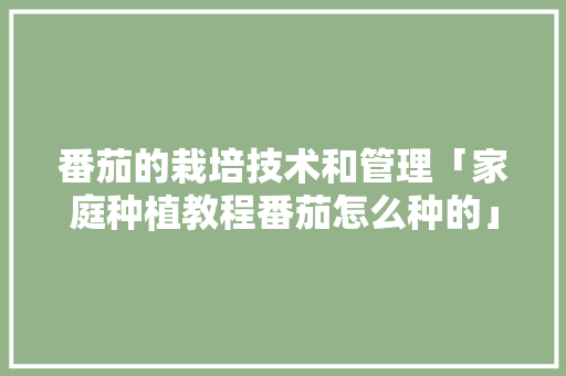 番茄的栽培技术和管理「家庭种植教程番茄怎么种的」 番茄的栽培技术和管理「家庭种植教程番茄怎么种的」 植物种类