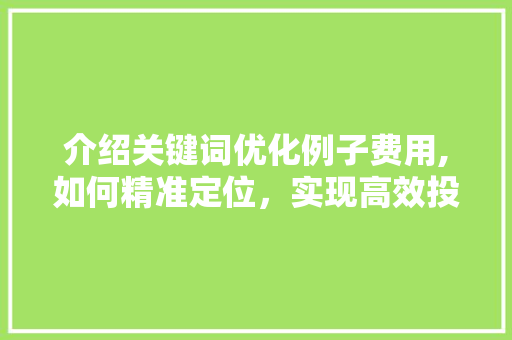 介绍关键词优化例子费用,如何精准定位，实现高效投资 番茄种植技巧