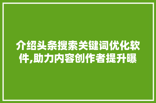介绍头条搜索关键词优化软件,助力内容创作者提升曝光率