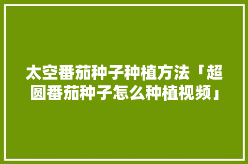 太空番茄种子种植方法「超圆番茄种子怎么种植视频」 太空番茄种子种植方法「超圆番茄种子怎么种植视频」 植物种类