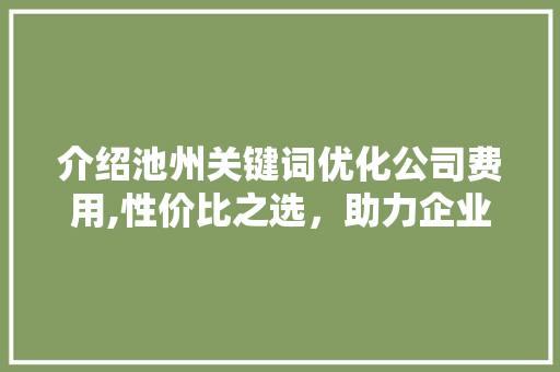 介绍池州关键词优化公司费用,性价比之选，助力企业腾飞
