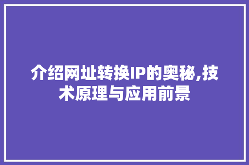 介绍网址转换IP的奥秘,技术原理与应用前景