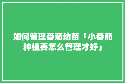 如何管理番茄幼苗「小番茄种植要怎么管理才好」 如何管理番茄幼苗「小番茄种植要怎么管理才好」 番茄病虫害防治