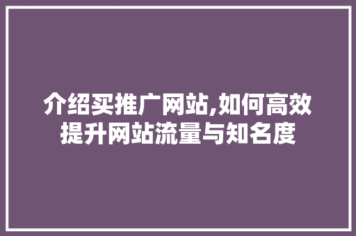 介绍买推广网站,如何高效提升网站流量与知名度