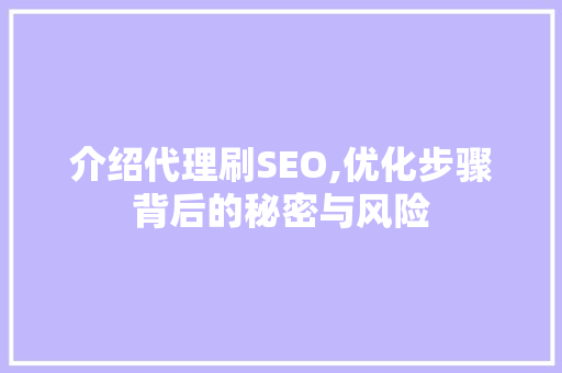 介绍代理刷SEO,优化步骤背后的秘密与风险