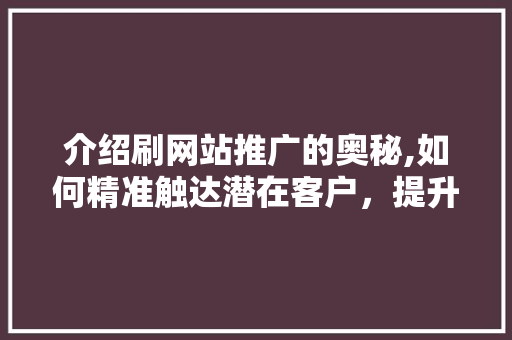 介绍刷网站推广的奥秘,如何精准触达潜在客户，提升企业品牌影响力