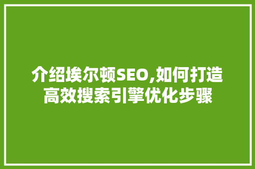 介绍埃尔顿SEO,如何打造高效搜索引擎优化步骤