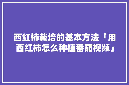 西红柿栽培的基本方法「用西红柿怎么种植番茄视频」 西红柿栽培的基本方法「用西红柿怎么种植番茄视频」 植物种类