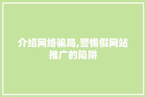 介绍网络骗局,警惕假网站推广的陷阱