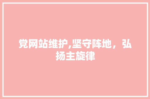 党网站维护,坚守阵地，弘扬主旋律