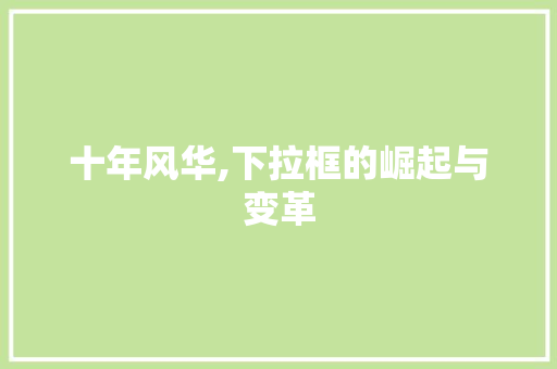 十年风华,下拉框的崛起与变革