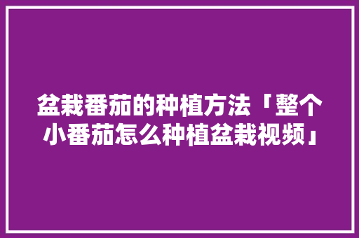 盆栽番茄的种植方法「整个小番茄怎么种植盆栽视频」 盆栽番茄的种植方法「整个小番茄怎么种植盆栽视频」 番茄病虫害防治