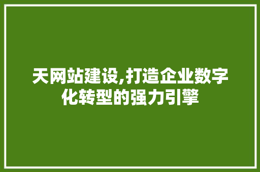天网站建设,打造企业数字化转型的强力引擎