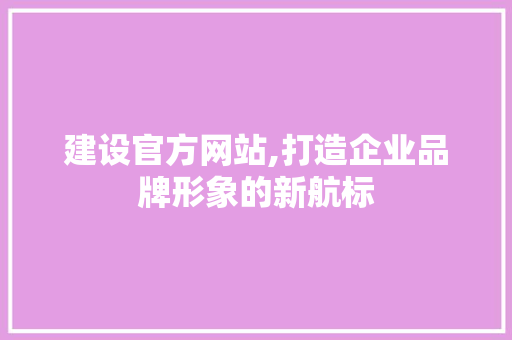 建设官方网站,打造企业品牌形象的新航标