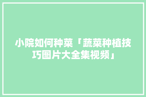 小院如何种菜「蔬菜种植技巧图片大全集视频」 小院如何种菜「蔬菜种植技巧图片大全集视频」 番茄病虫害防治