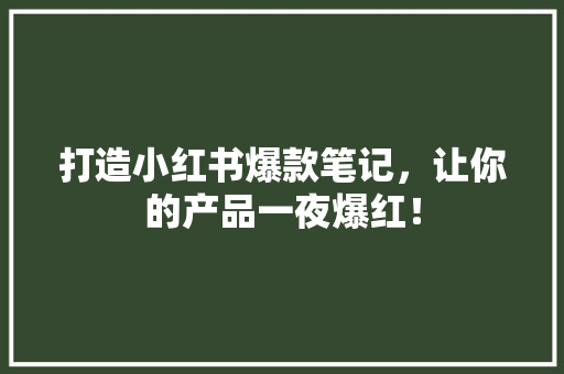 打造小红书爆款笔记，让你的产品一夜爆红！