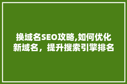 换域名SEO攻略,如何优化新域名，提升搜索引擎排名