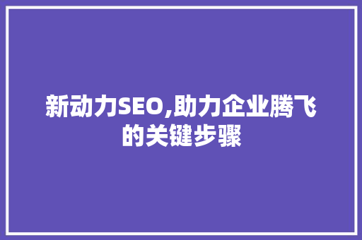 新动力SEO,助力企业腾飞的关键步骤
