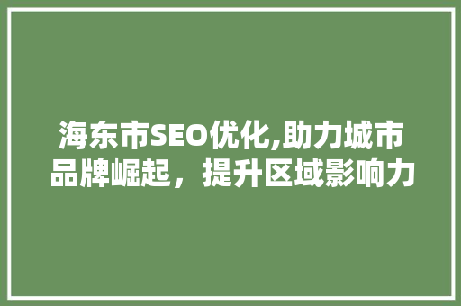 海东市SEO优化,助力城市品牌崛起，提升区域影响力