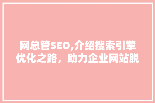 网总管SEO,介绍搜索引擎优化之路，助力企业网站脱颖而出 种植技巧