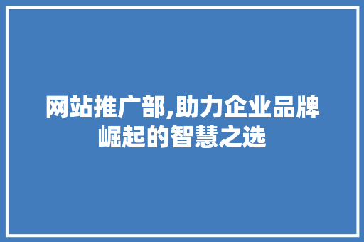 网站推广部,助力企业品牌崛起的智慧之选 种植技巧