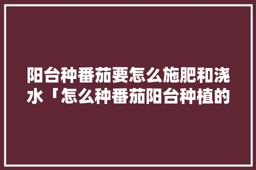 阳台种番茄要怎么施肥和浇水「怎么种番茄阳台种植的视频」 阳台种番茄要怎么施肥和浇水「怎么种番茄阳台种植的视频」 花朵知识