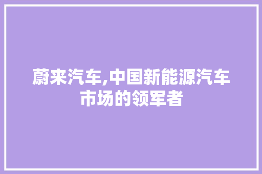 蔚来汽车,中国新能源汽车市场的领军者